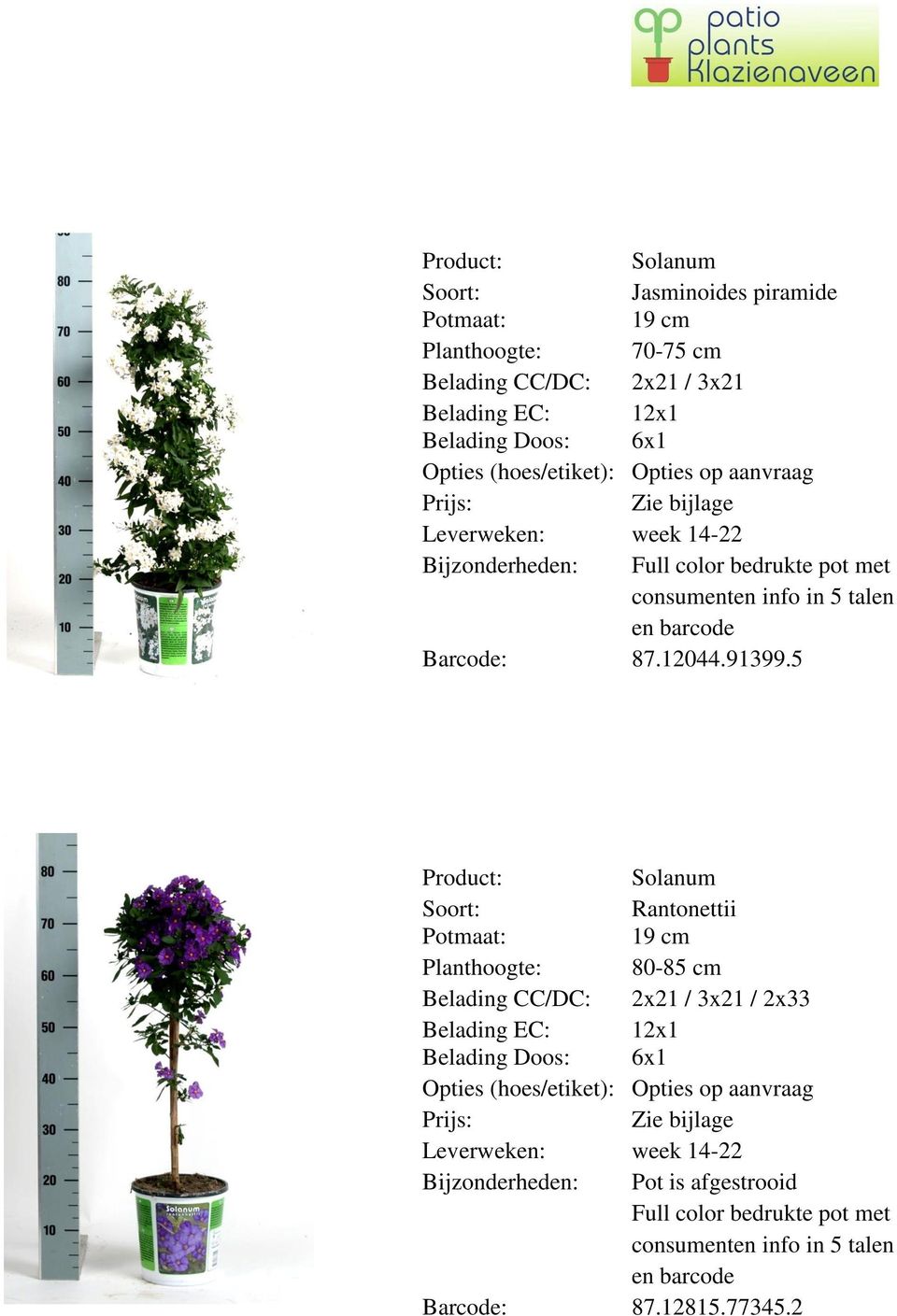 5 Solanum Rantonettii Planthoogte: 80-85 cm Belading CC/DC: 2x21 / 3x21 / 2x33 Opties (hoes/etiket): Opties op