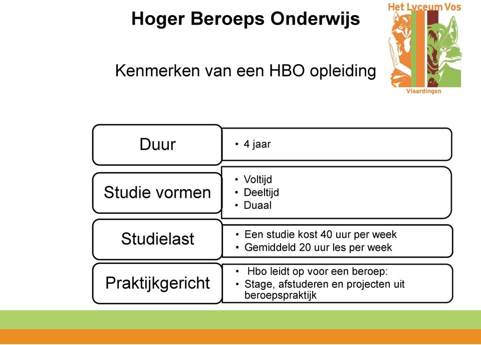 studie kost 40 uur per week Gemiddeld 20 uur les per week Hbo leidt