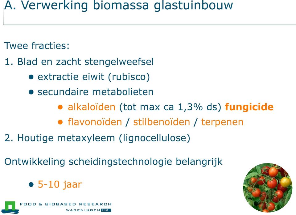 metabolieten alkaloïden (tot max ca 1,3% ds) fungicide flavonoïden /