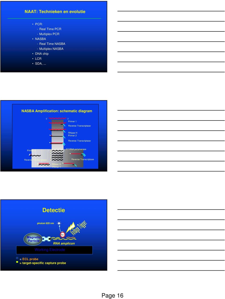 .. NASBA Amplification: schematic diagram 5 3 Primer 1 Reverse Transcriptase RNase H Primer 2 Reverse Transcriptase