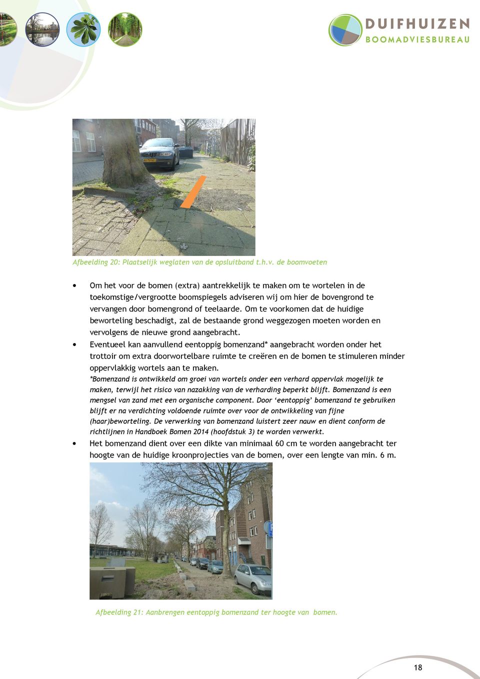 de boomvoeten Om het voor de bomen (extra) aantrekkelijk te maken om te wortelen in de toekomstige/vergrootte boomspiegels adviseren wij om hier de bovengrond te vervangen door bomengrond of