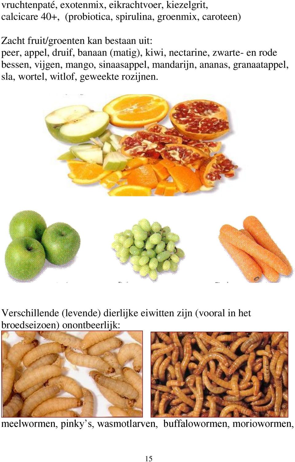 mango, sinaasappel, mandarijn, ananas, granaatappel, sla, wortel, witlof, geweekte rozijnen.