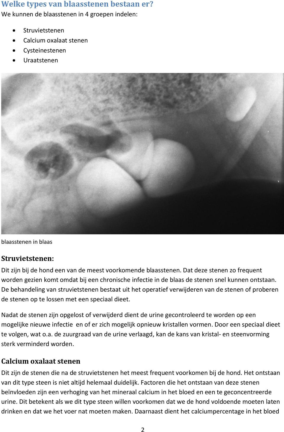 blaasstenen. Dat deze stenen zo frequent worden gezien komt omdat bij een chronische infectie in de blaas de stenen snel kunnen ontstaan.