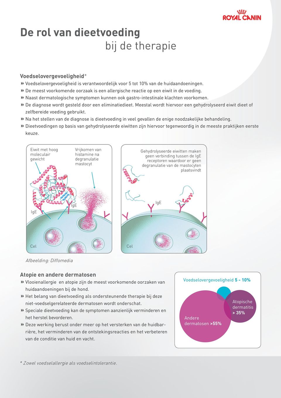 x De diagnose wordt gesteld door een eliminatiedieet. Meestal wordt hiervoor een gehydrolyseerd eiwit dieet of zelfbereide voeding gebruikt.