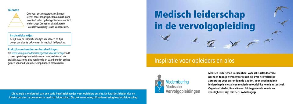 nl/modernisering/medischleiderschap vindt u meer opleidingshandreikingen en voorbeelden uit de praktijk, waarmee aios hun kennis en vaardigheden op het gebied van medisch leiderschap kunnen