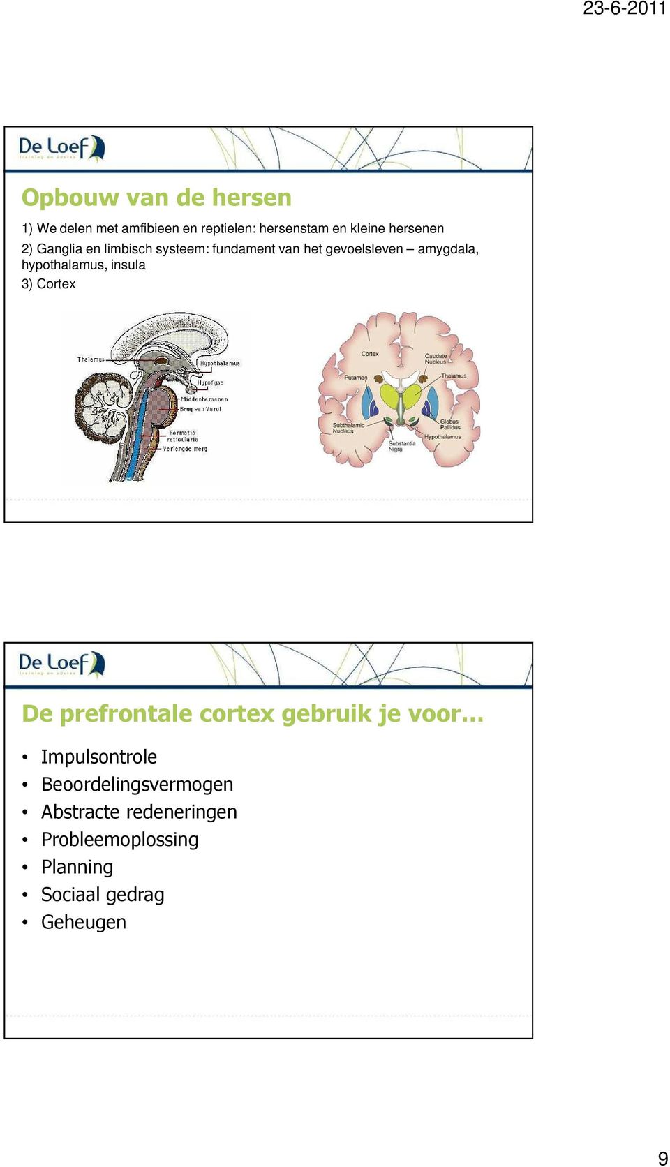 hypothalamus, insula 3) Cortex De prefrontale cortex gebruik je voor Impulsontrole