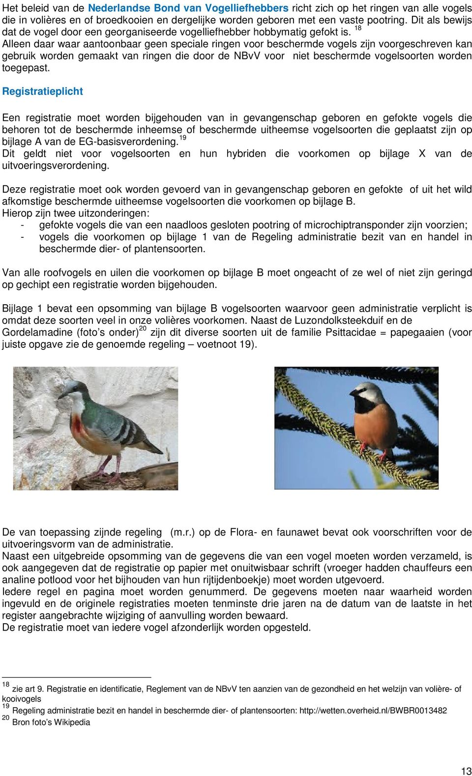 18 Alleen daar waar aantoonbaar geen speciale ringen voor beschermde vogels zijn voorgeschreven kan gebruik worden gemaakt van ringen die door de NBvV voor niet beschermde vogelsoorten worden