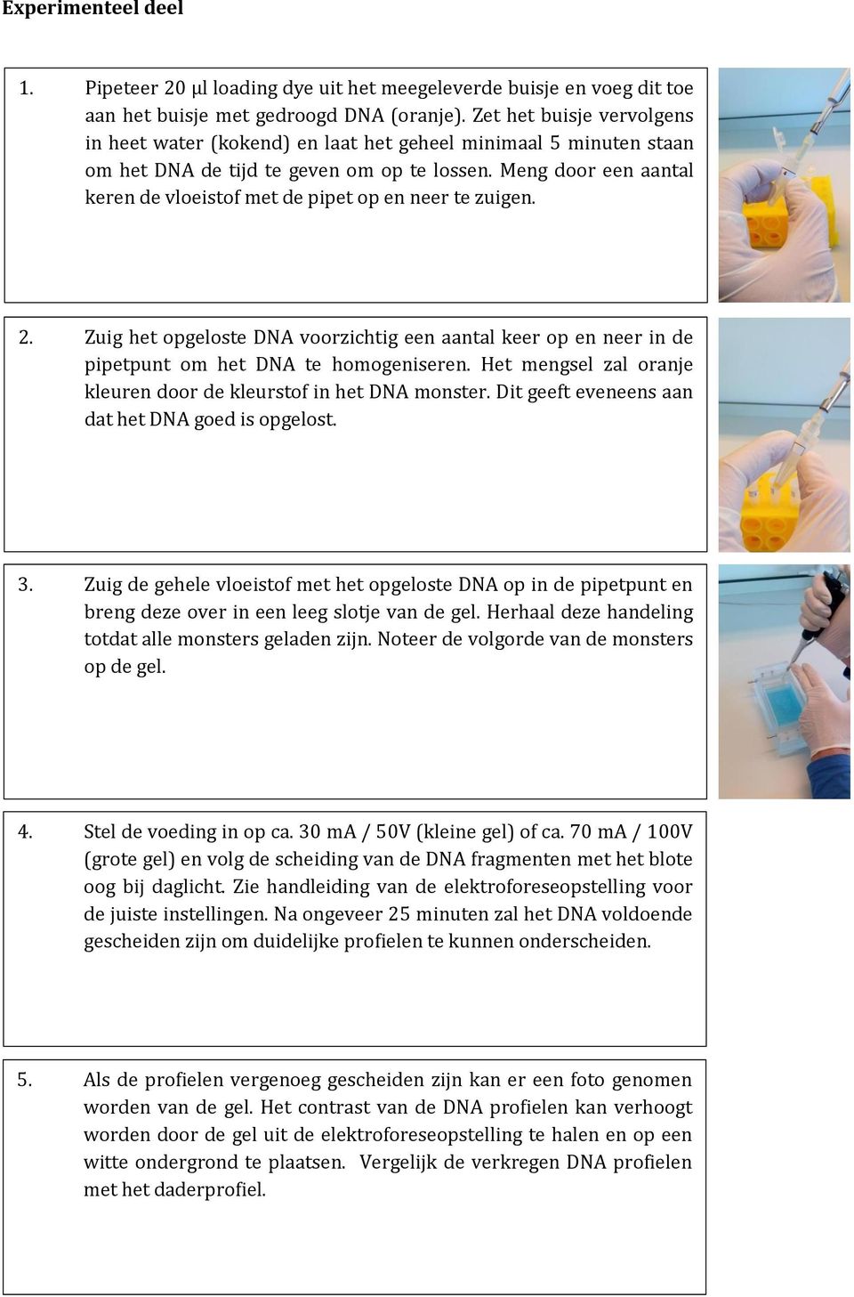 Meng door een aantal keren de vloeistof met de pipet op en neer te zuigen. 2. Zuig het opgeloste DNA voorzichtig een aantal keer op en neer in de pipetpunt om het DNA te homogeniseren.