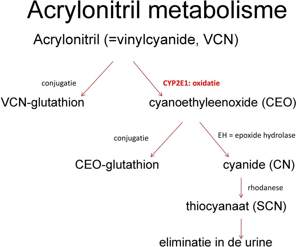 cyanoethyleenoxide (CEO) conjugatie CEO-glutathion EH =