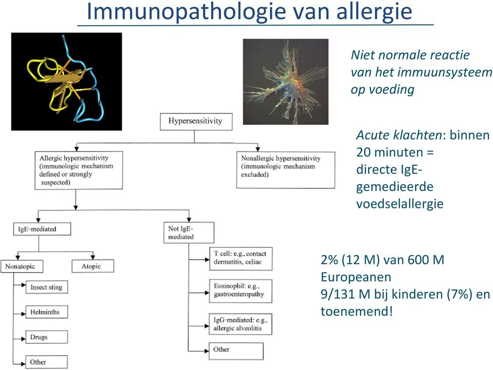 minuten = directe IgEgemedieerde voedselallergie 2% (12