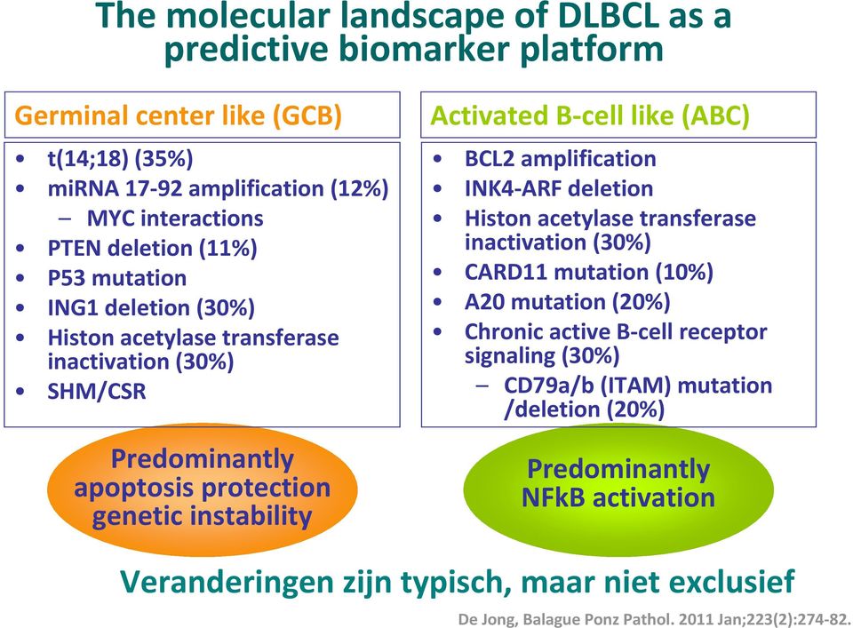 (ABC) BCL2 amplification INK4-ARF deletion Histon acetylase transferase inactivation (30%) CARD11 mutation (10%) A20 mutation (20%) Chronic active B-cell receptor signaling