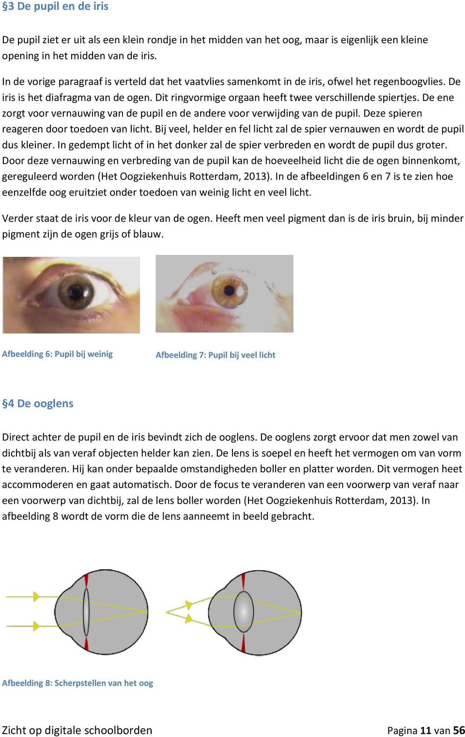 De ene zorgt voor vernauwing van de pupil en de andere voor verwijding van de pupil. Deze spieren reageren door toedoen van licht.