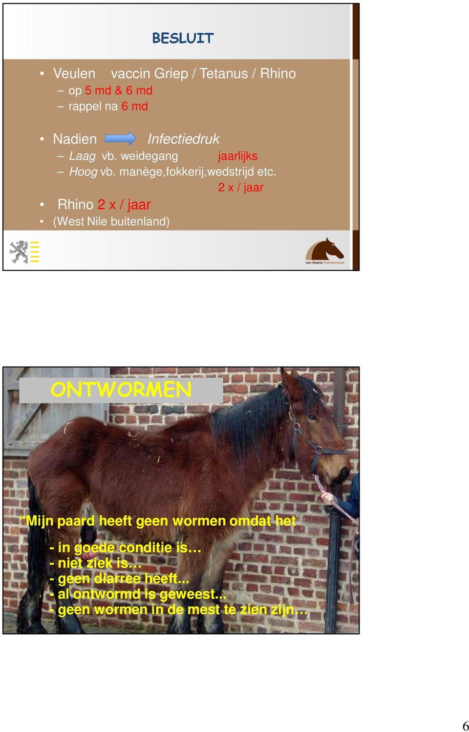 2 x / jaar Rhino 2 x / jaar (West Nile buitenland) ONTWORMEN - Mijn paard heeft geen wormen omdat