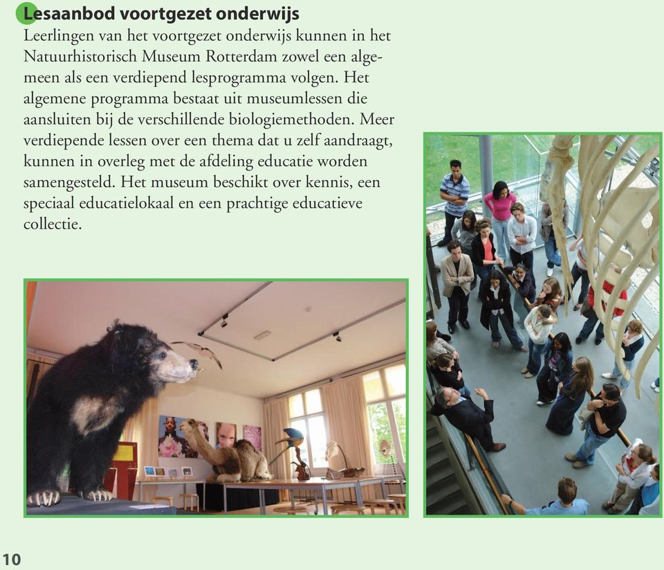 Het algemene programma bestaat uit museumlessen die aansluiten bij de verschillende biologiemethoden.