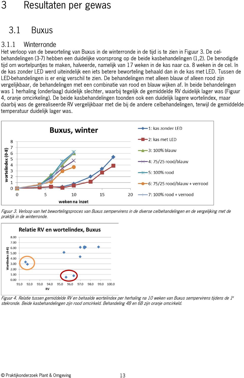 8 weken in de cel. In de kas zonder LED werd uiteindelijk een iets betere beworteling behaald dan in de kas met LED. Tussen de LED-behandelingen is er enig verschil te zien.