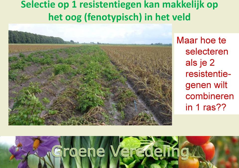 het veld Maar hoe te selecteren als je