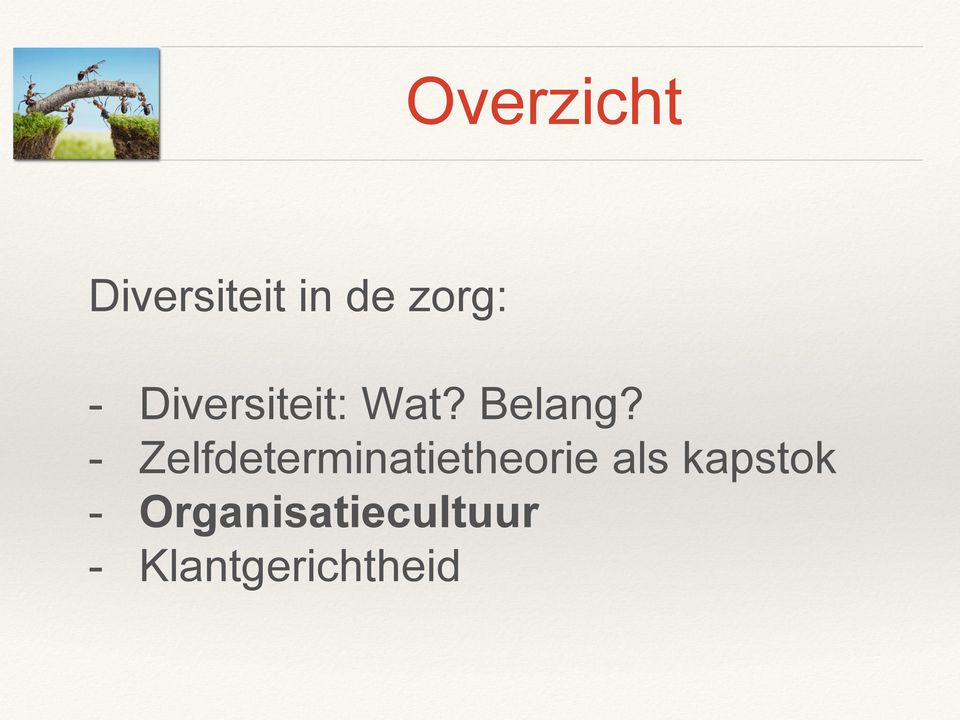 - Zelfdeterminatietheorie als