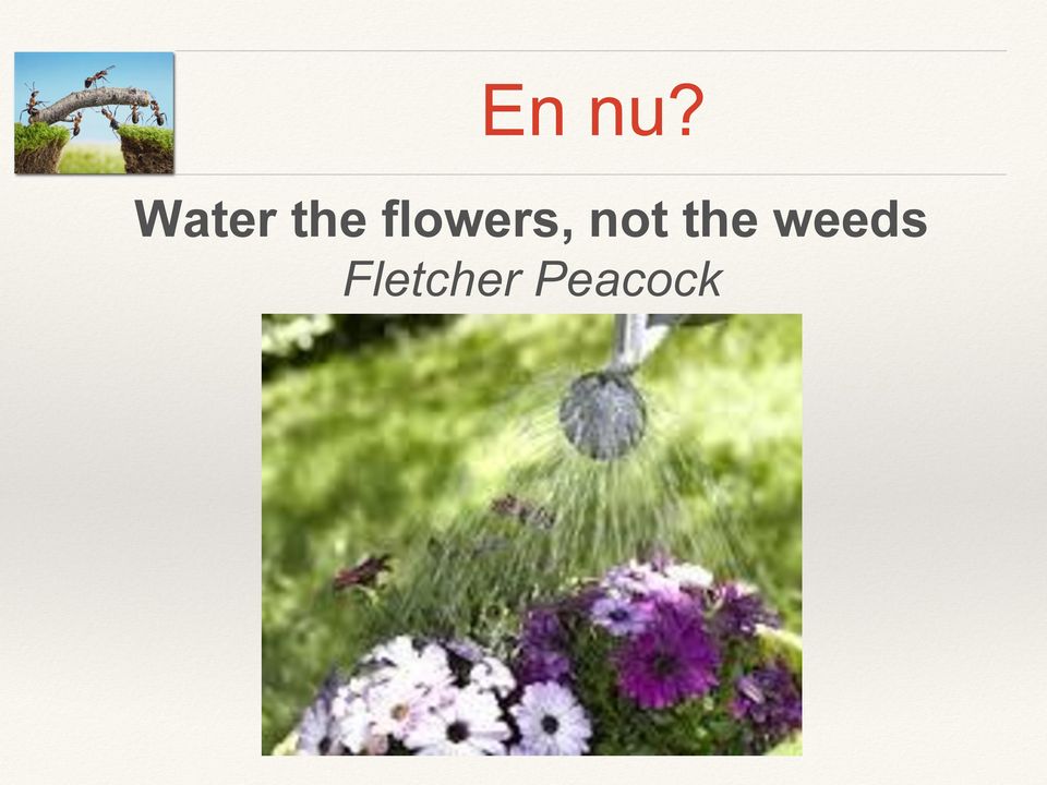 flowers, not