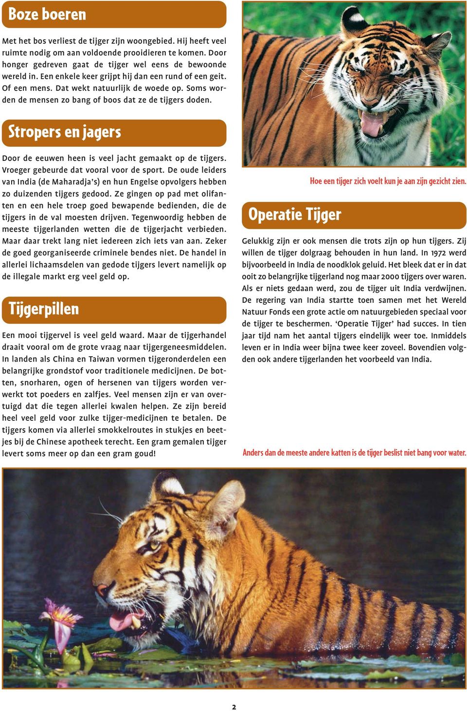 Stropers en jagers Door de eeuwen heen is veel jacht gemaakt op de tijgers. Vroeger gebeurde dat vooral voor de sport.