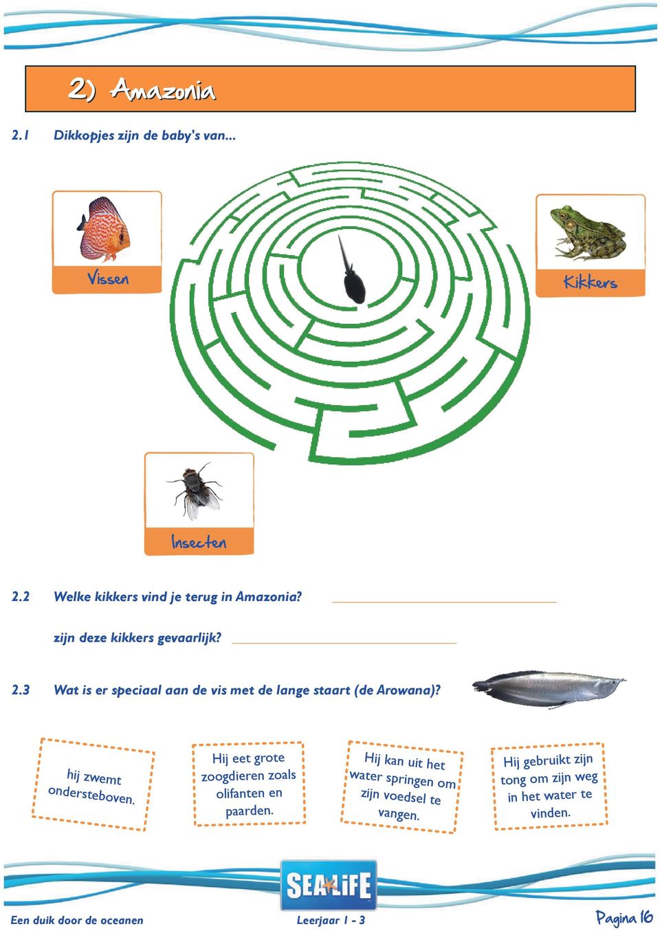 3 Wat is er speciaal aan de vis met de lange staart (de Arowana)? hij zwemt ondersteb oven.