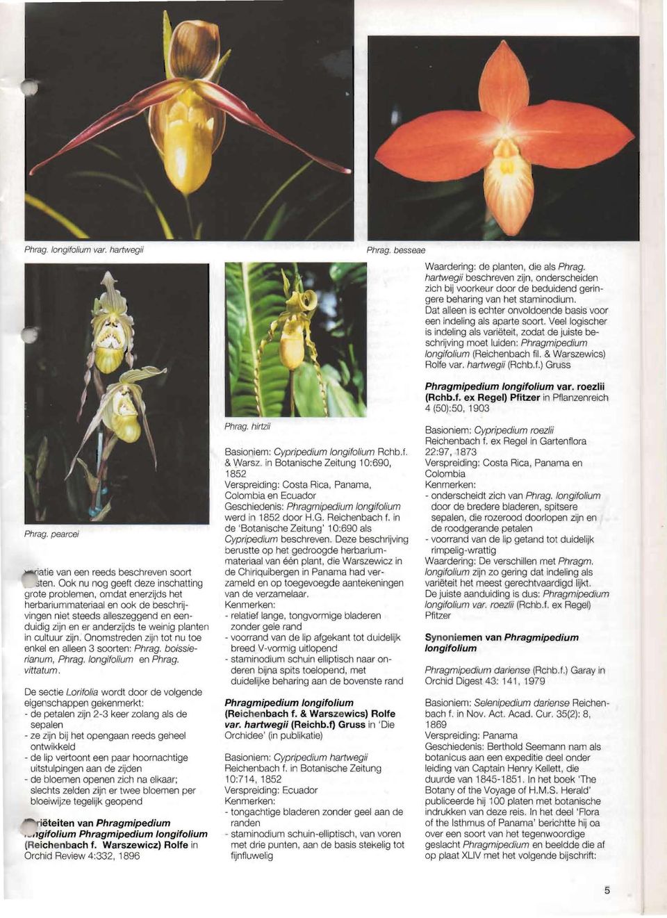 Tweemaandelijks tijdschrift van de Nederlandse Orchideeen Vereniging afbeelding