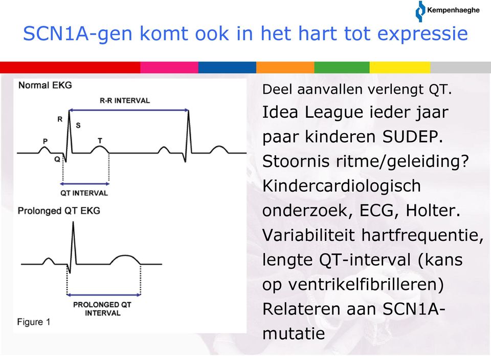 Kindercardiologisch onderzoek, ECG, Holter.