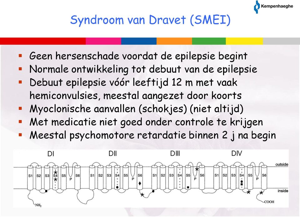 hemiconvulsies, meestal aangezet door koorts Myoclonische aanvallen (schokjes) (niet