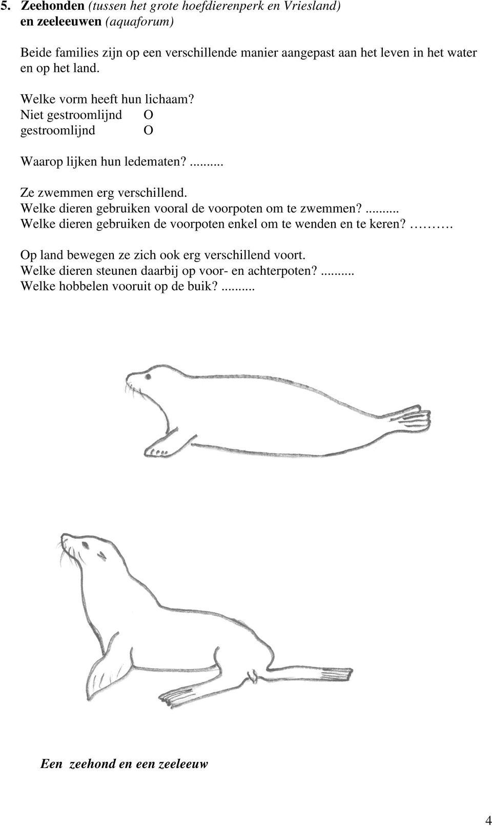 ... Ze zwemmen erg verschillend. Welke dieren gebruiken vooral de voorpoten om te zwemmen?