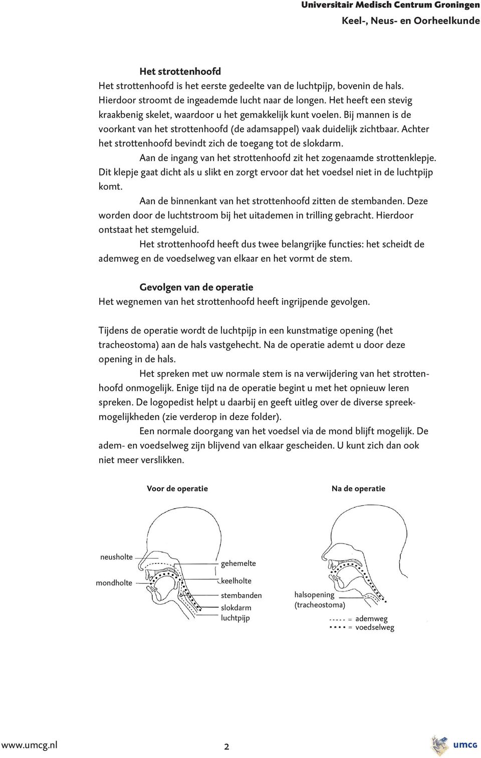 Achter het strottenhoofd bevindt zich de toegang tot de slokdarm. Aan de ingang van het strottenhoofd zit het zogenaamde strottenklepje.