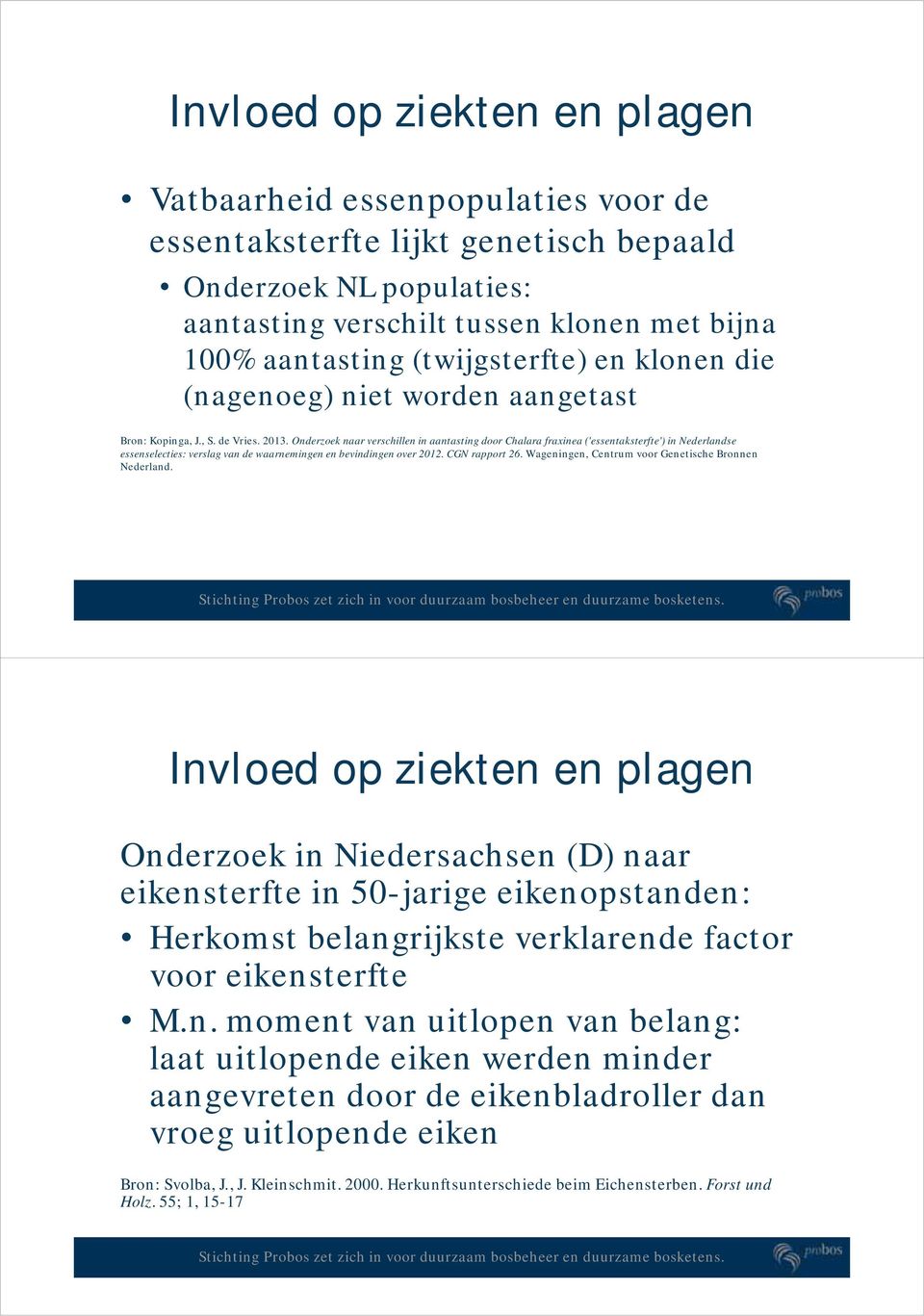 Onderzoek naar verschillen in aantasting door Chalara fraxinea ('essentaksterfte') in Nederlandse essenselecties: verslag van de waarnemingen en bevindingen over 2012. CGN rapport 26.