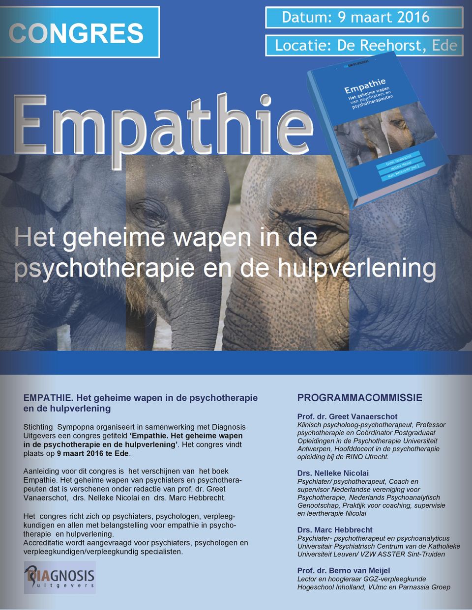 Klinisch psycholoog-psychotherapeut, Professor psychotherapie en Coördinator Postgraduaat Opleidingen in de Psychotherapie Universiteit Antwerpen, Hoofddocent in de psychotherapie opleiding bij de