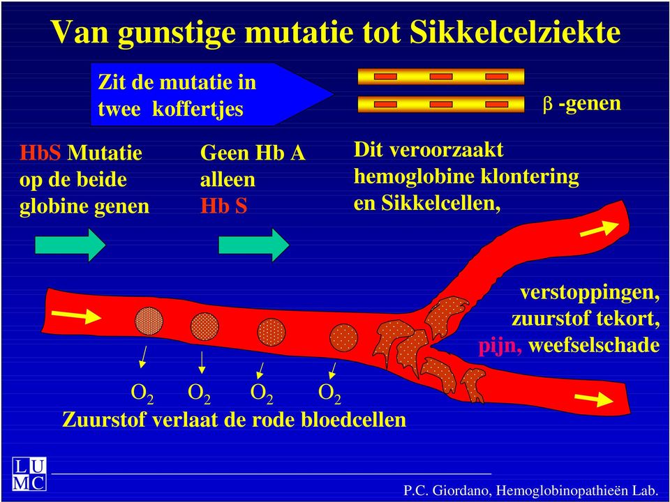 klontering en Sikkelcellen, verstoppingen, zuurstof tekort, pijn, weefselschade O 2 O