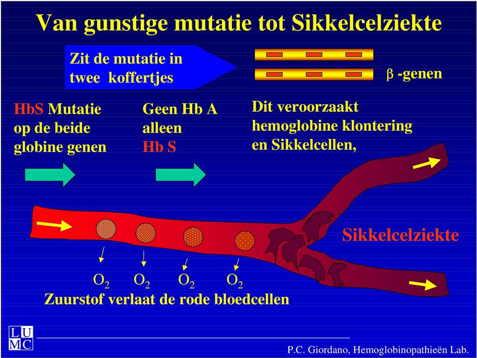 veroorzaakt hemoglobine klontering en Sikkelcellen, Sikkelcelziekte O 2 O 2