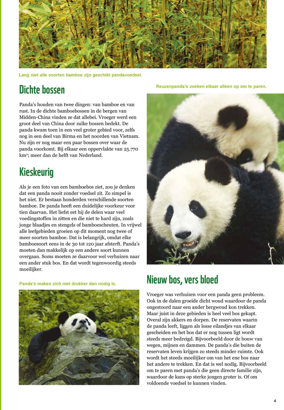 De panda kwam toen in een veel groter gebied voor, zelfs nog in een deel van Birma en het noorden van Vietnam. Nu zijn er nog maar een paar bossen over waar de panda voorkomt.