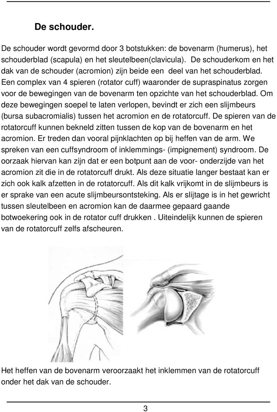 Een complex van 4 spieren (rotator cuff) waaronder de supraspinatus zorgen voor de bewegingen van de bovenarm ten opzichte van het schouderblad.