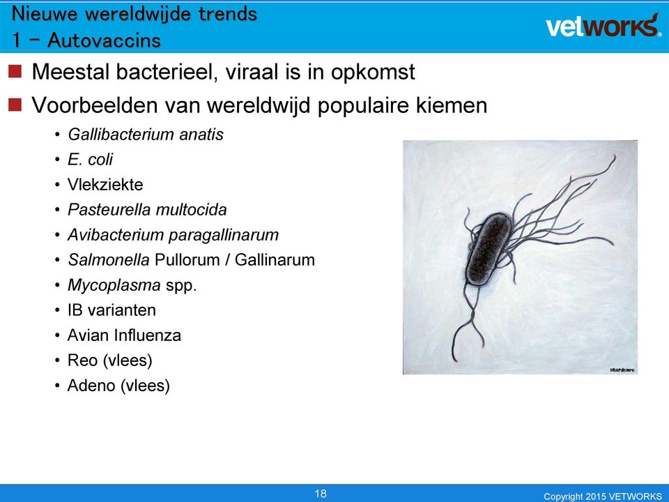 coli Vlekziekte Pasteurella multocida Avibacterium paragallinarum