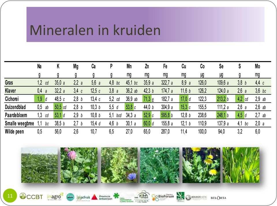 Duizendblad 0,5 ab 50,5 cd 2,8 b 10,3 b 5,5 d 53,8 c 44,0 b 304,9 a 15,3 c 155,5 111,2 a 2,6 a 2,6 ab Paardebloem 1,3 cd 53,1 d 2,9 b 10,8 b 5,1 bcd 34,3 a 52,9 c 595,8 b 12,8 b 238,6 248,1