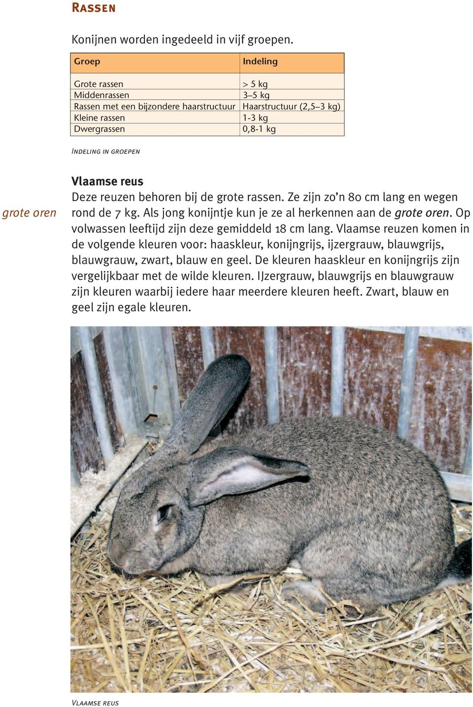 Vlaamse reus Deze reuzen behoren bij de grote rassen. Ze zijn zo n 80 cm lang en wegen rond de 7 kg. Als jong konijntje kun je ze al herkennen aan de grote oren.