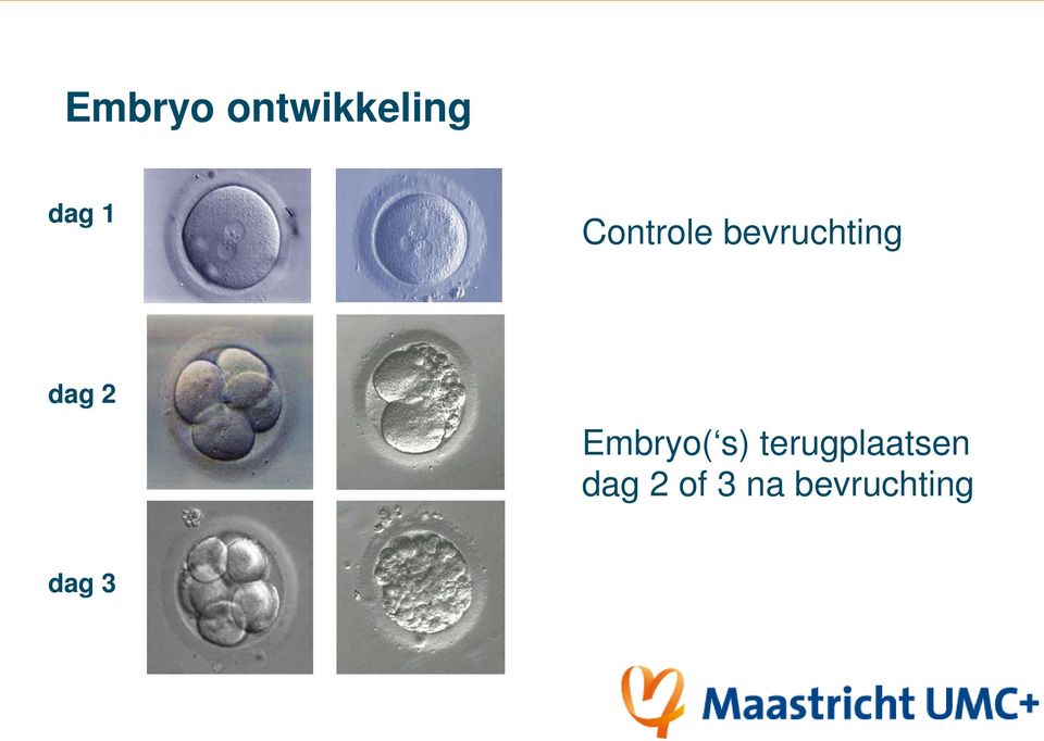 Embryo( s) terugplaatsen