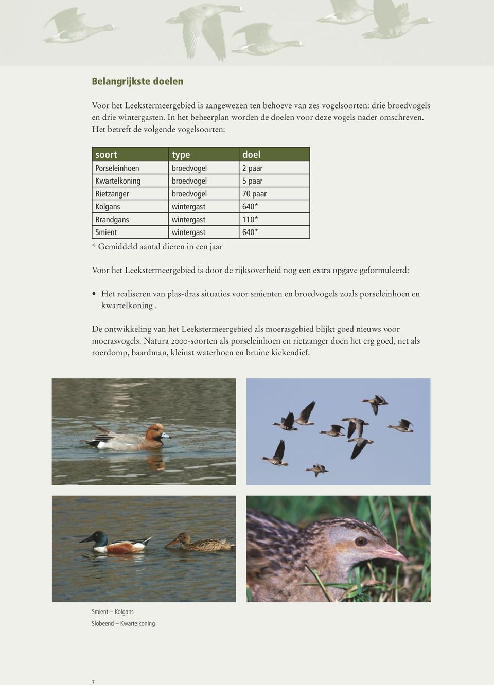 Het betreft de volgende vogelsoorten: soort type doel Porseleinhoen broedvogel 2 paar Kwartelkoning broedvogel 5 paar Rietzanger broedvogel 70 paar Kolgans wintergast 640* Brandgans wintergast 110*