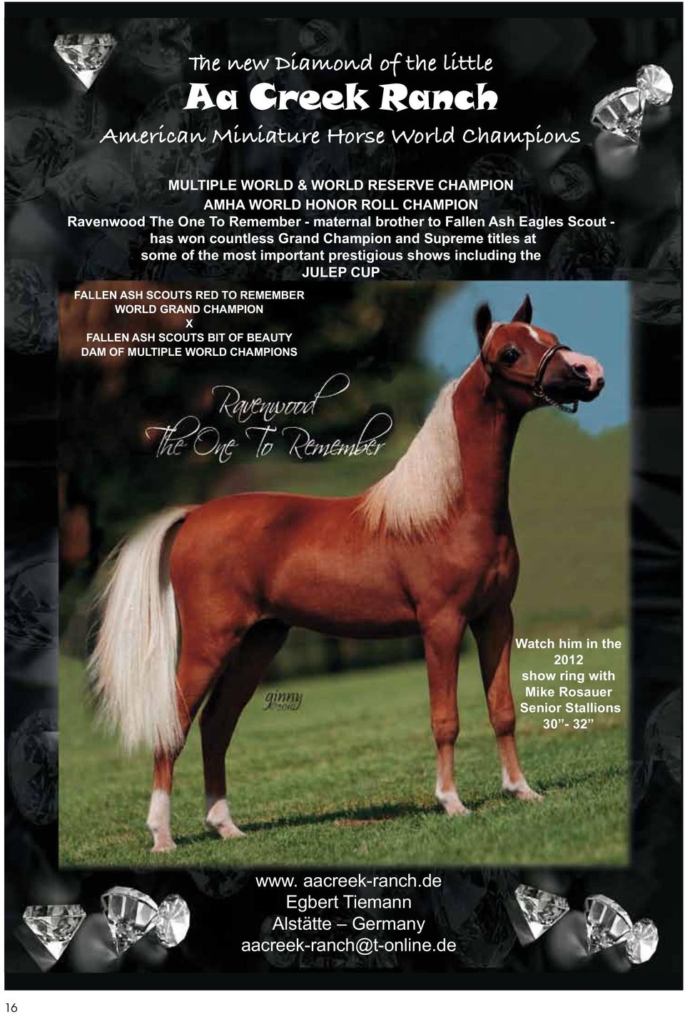 important prestigious shows including the JULEP CUP FALLEN ASH SCOUTS RED TO REMEMBER WORLD GRAND CHAMPION X FALLEN ASH SCOUTS BIT OF BEAUTY DAM OF MULTIPLE