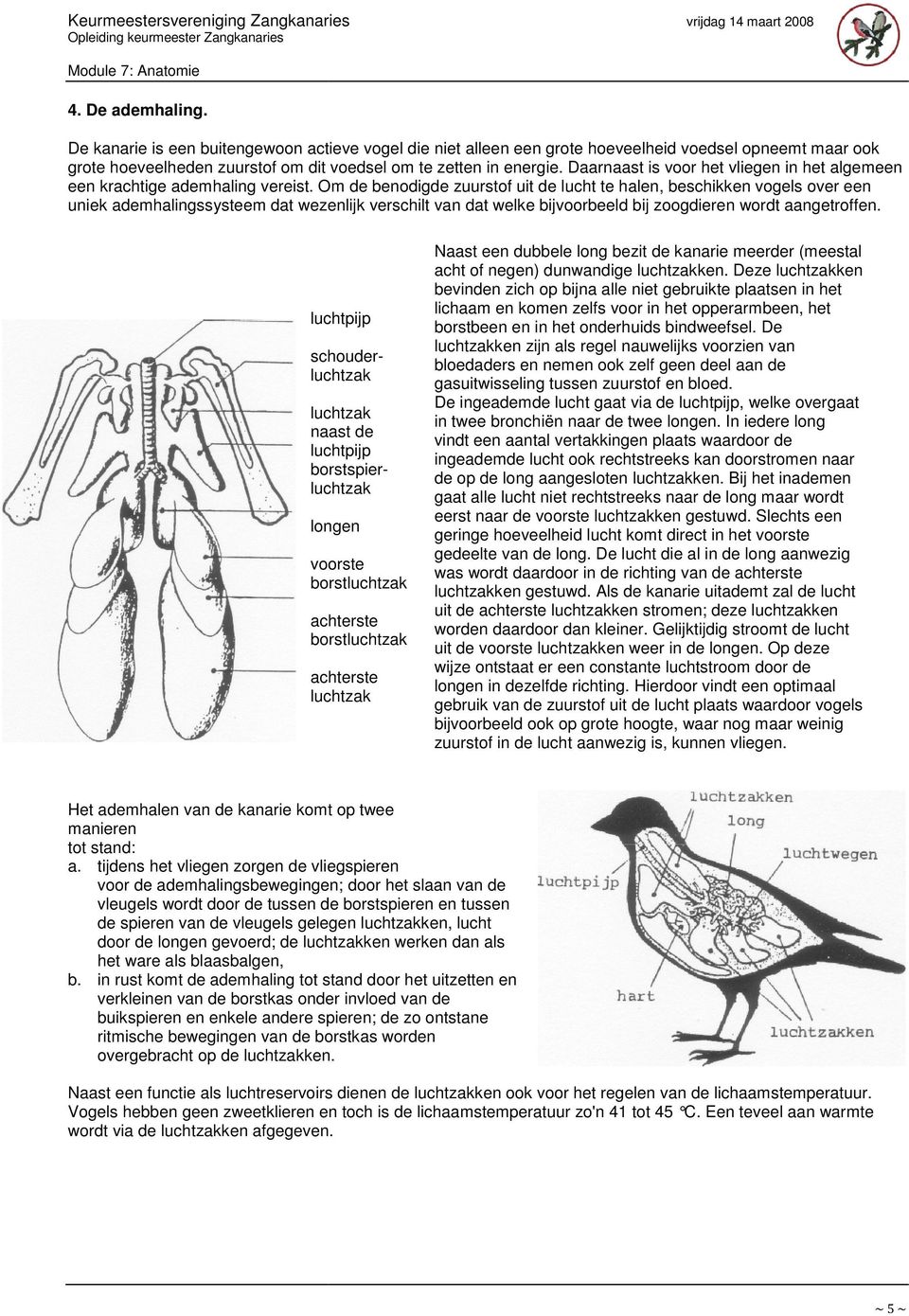 Om de benodigde zuurstof uit de lucht te halen, beschikken vogels over een uniek ademhalingssysteem dat wezenlijk verschilt van dat welke bijvoorbeeld bij zoogdieren wordt aangetroffen.