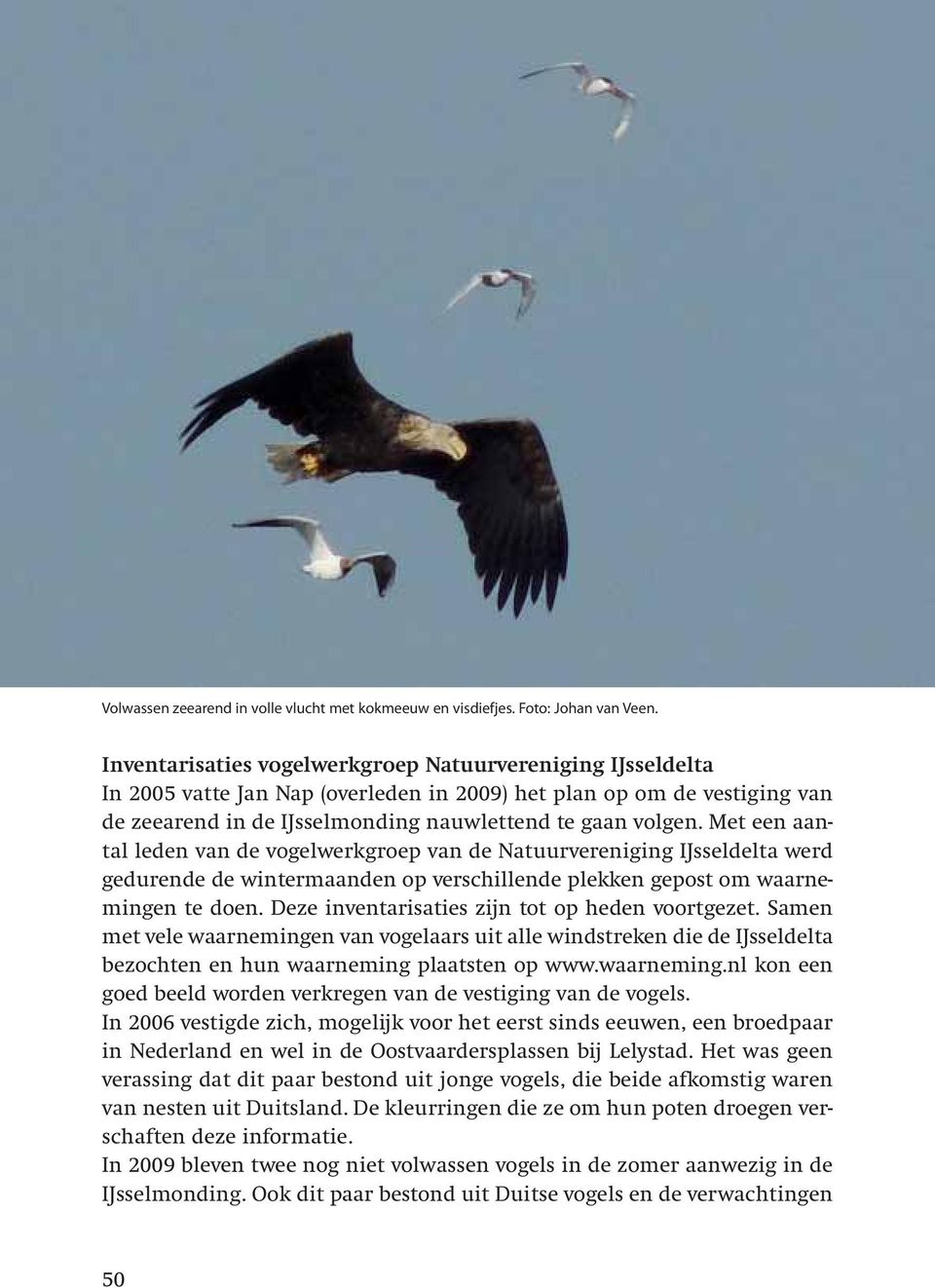 Met een aantal leden van de vogelwerkgroep van de Natuurvereniging IJsseldelta werd gedurende de wintermaanden op verschillende plekken gepost om waarnemingen te doen.