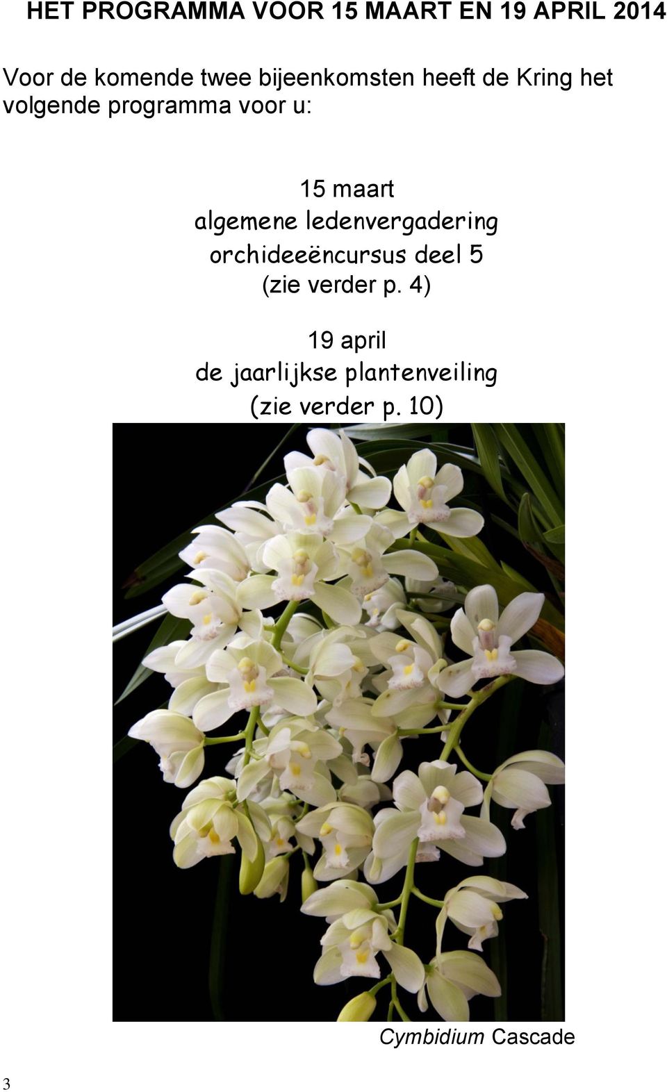 algemene ledenvergadering orchideeëncursus deel 5 (zie verder p.