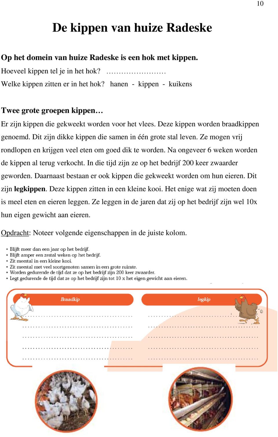 Ze mogen vrij rondlopen en krijgen veel eten om goed dik te worden. Na ongeveer 6 weken worden de kippen al terug verkocht. In die tijd zijn ze op het bedrijf 200 keer zwaarder geworden.