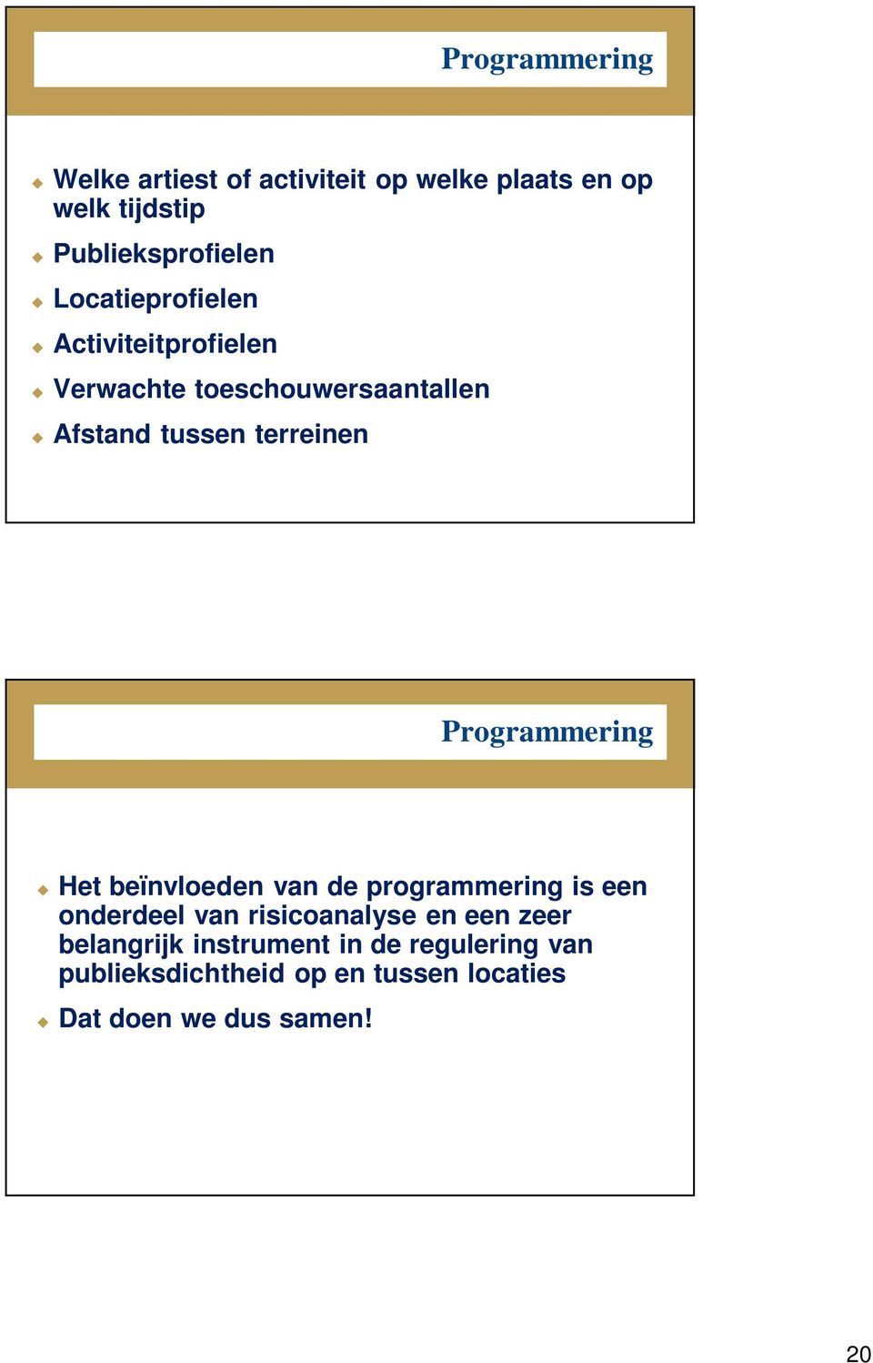 Programmering Het beïnvloeden van de programmering is een onderdeel van risicoanalyse en een zeer