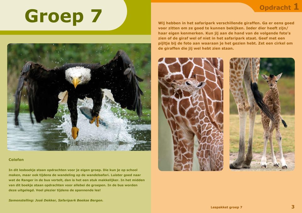 Zet een cirkel om de giraffen die jij wel hebt zien staan. Colofon In dit lesboekje staan opdrachten voor je eigen groep. Die kun je op school maken, maar ook tijdens de wandeling op de wandelsafari.