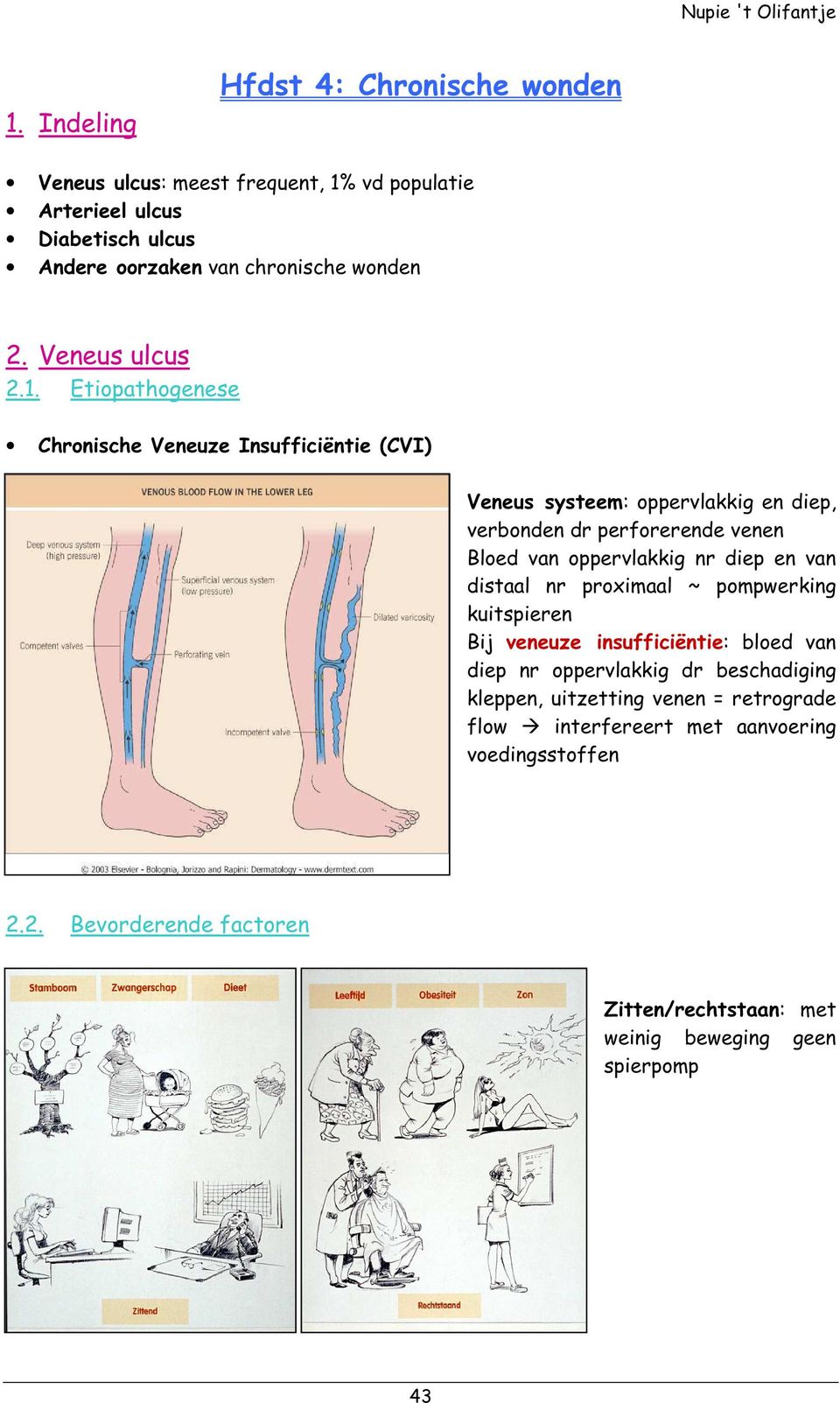 Etiopathogenese Chronische Veneuze Insufficiëntie (CVI) Veneus systeem: oppervlakkig en diep, verbonden dr perforerende venen Bloed van oppervlakkig nr diep