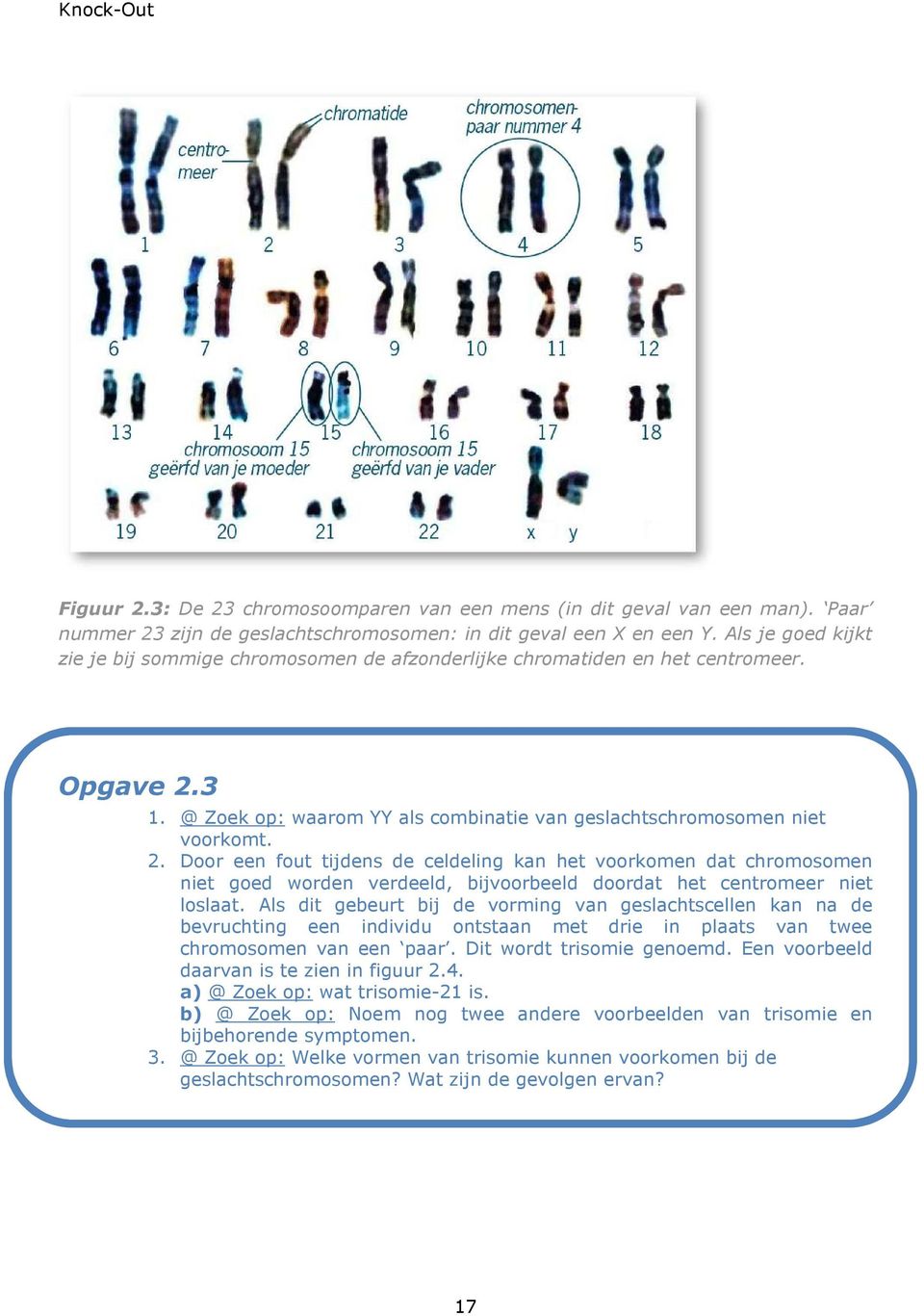 3 1. @ Zoek op: waarom YY als combinatie van geslachtschromosomen niet voorkomt. 2.