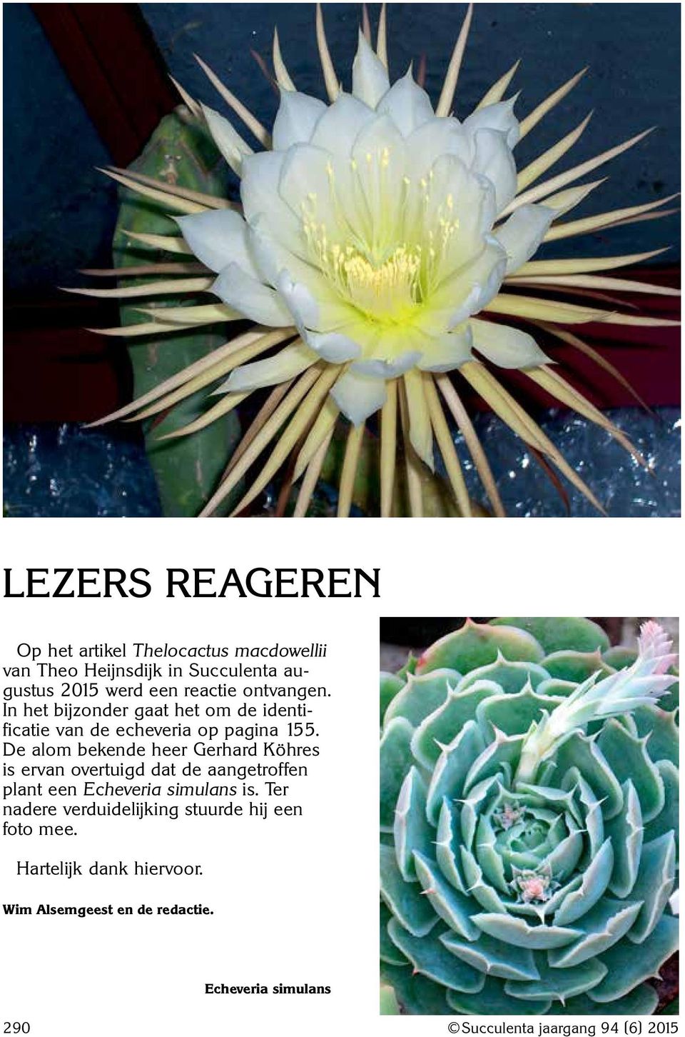 De alom bekende heer Gerhard Köhres is ervan overtuigd dat de aangetroffen plant een Echeveria simulans is.